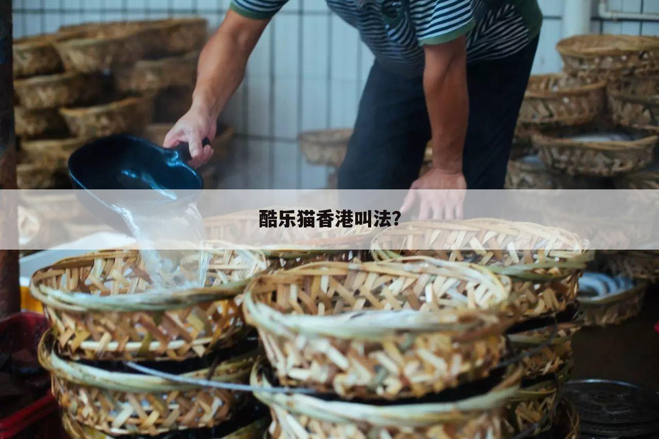酷乐猫香港叫法?