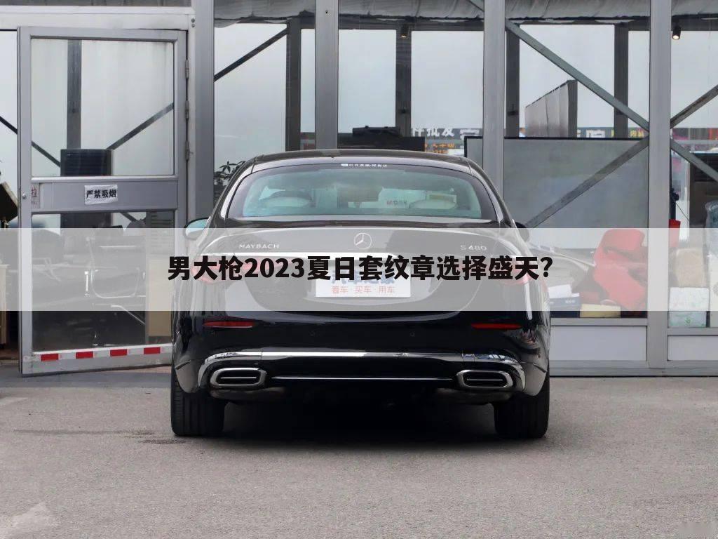 男大枪2023夏日套纹章选择盛天?