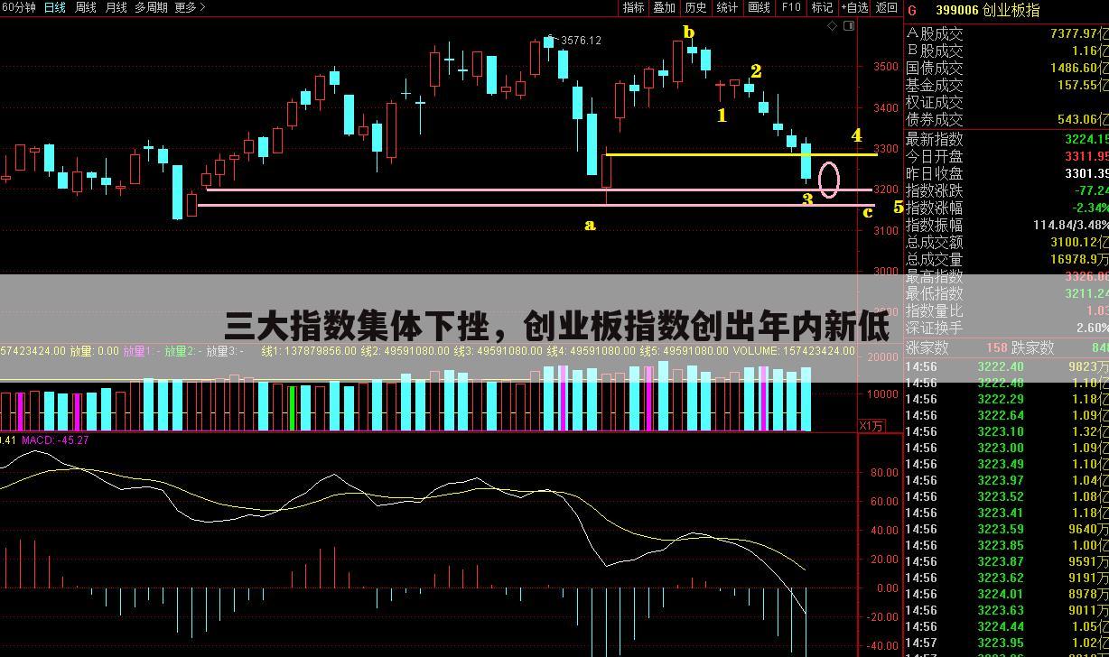 三大指数集体下挫,创业板指数创出年内新低