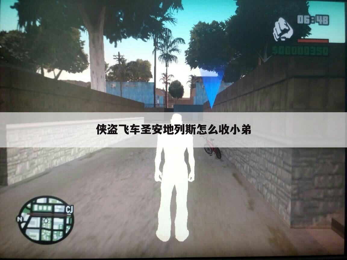 <b>侠盗飞车圣安地列斯怎么收小弟</b>