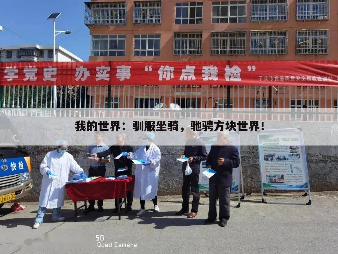 我的世界：驯服坐骑，驰骋方块世界！