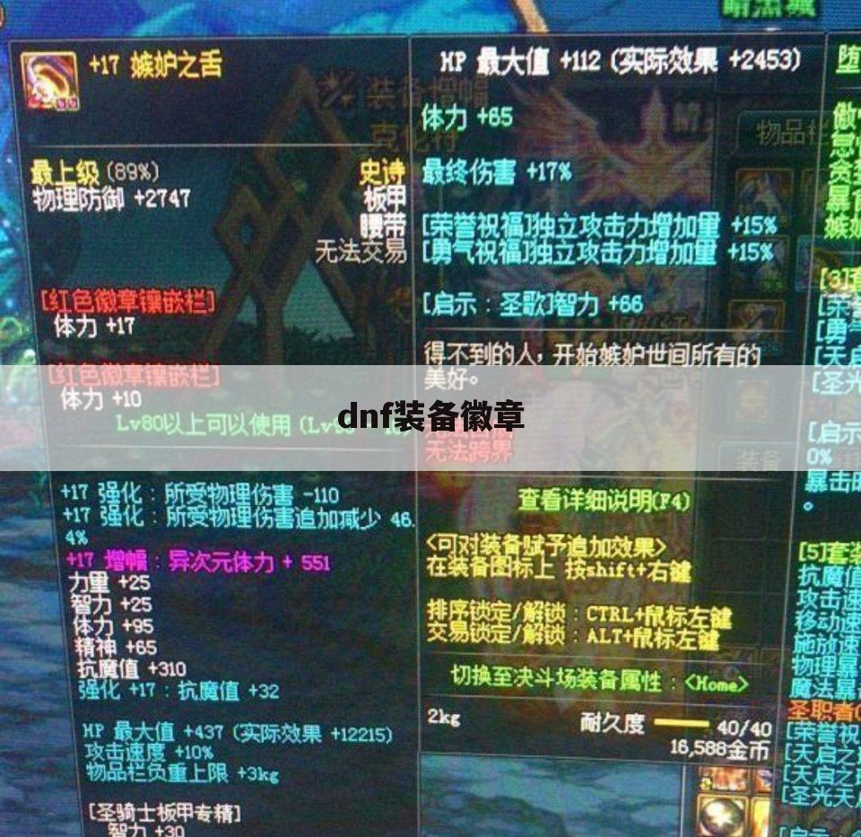dnf装备徽章