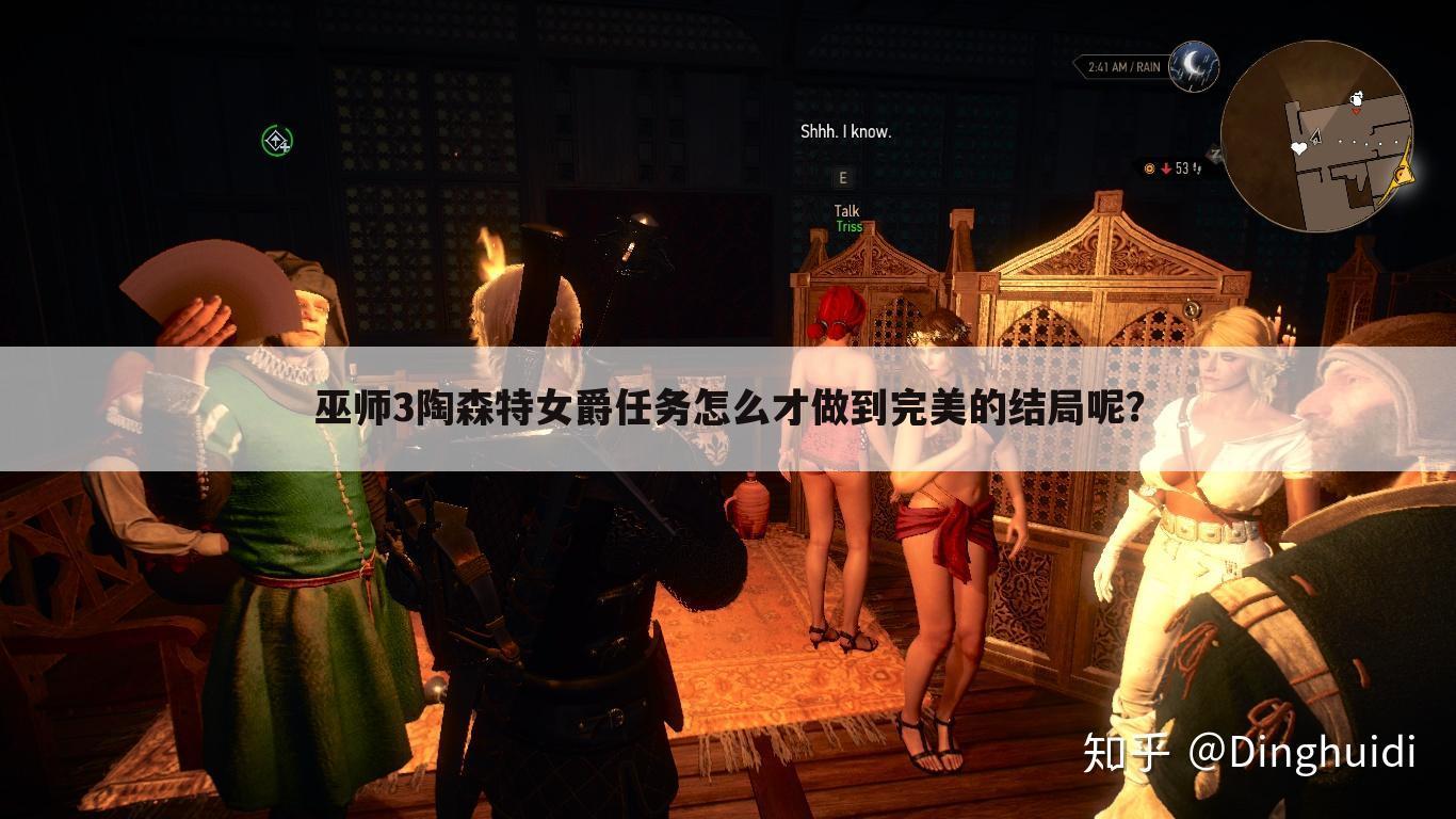 巫师3陶森特女爵任务怎么才做到完美的结局呢？