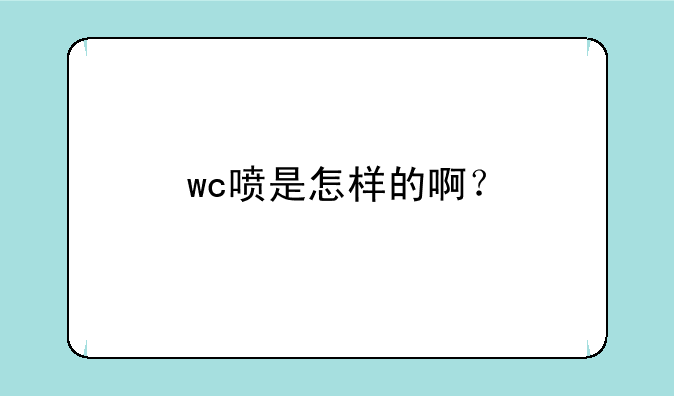 wc喷是怎样的啊？