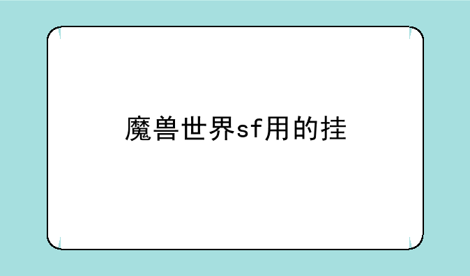 魔兽世界sf用的挂