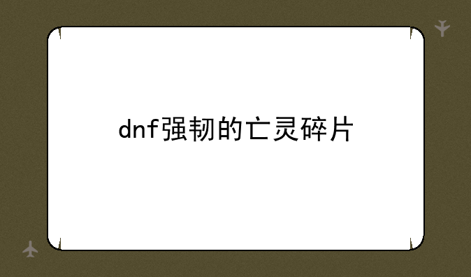 dnf强韧的亡灵碎片