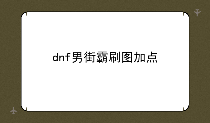 dnf男街霸刷图加点