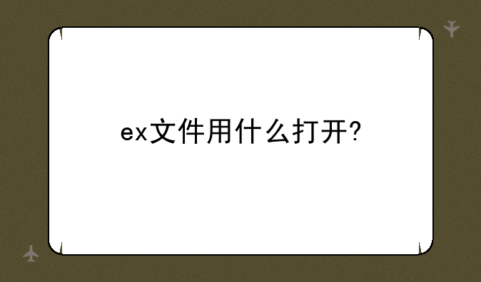 ex文件用什么打开?