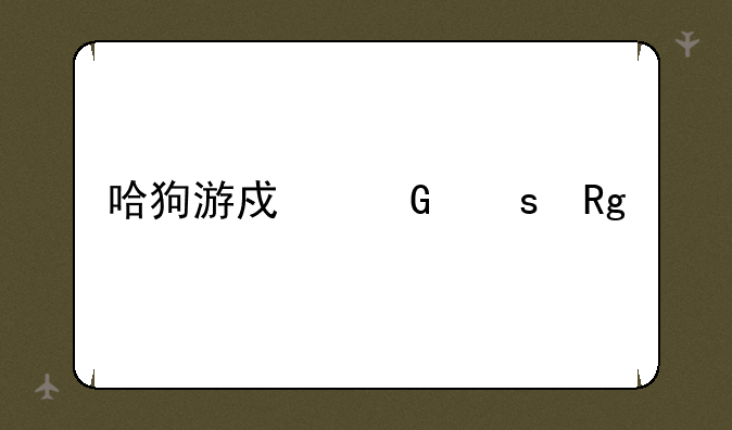 哈狗游戏网络错误