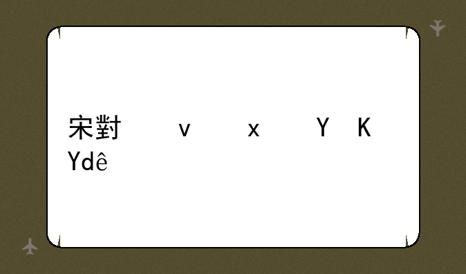 （睿家军是谁的粉丝）宋小睿和二美丽是亲生的吗