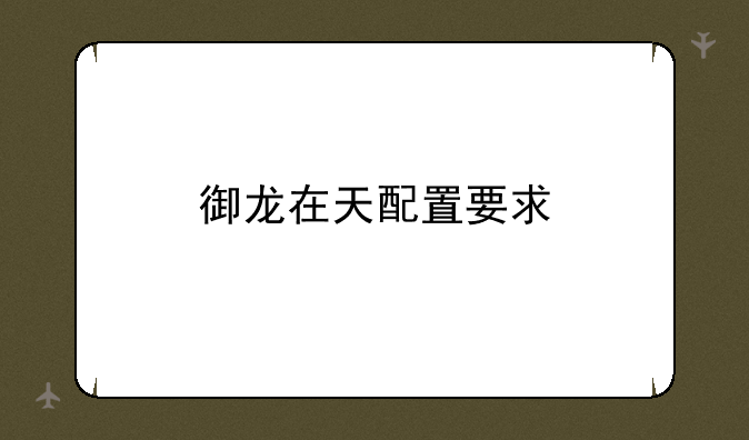 御龙在天配置要求