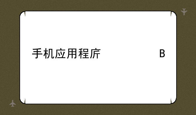 手机应用程序管理