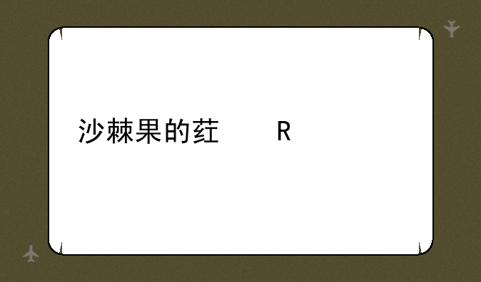 沙棘果的药用价值