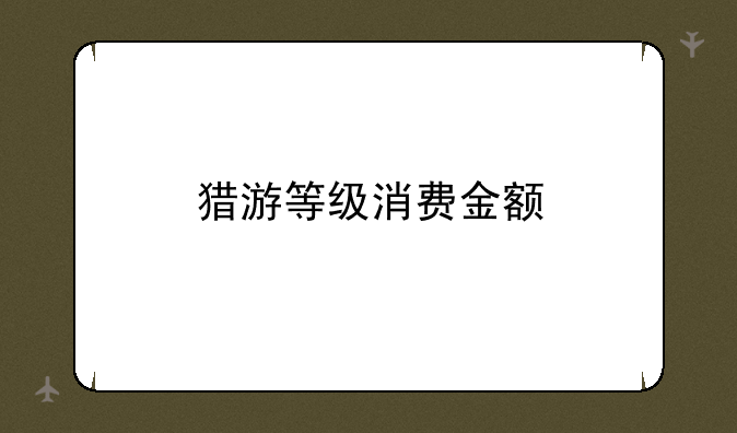猎游等级消费金额