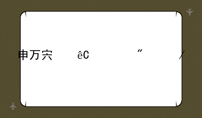 申万宏源证券下载
