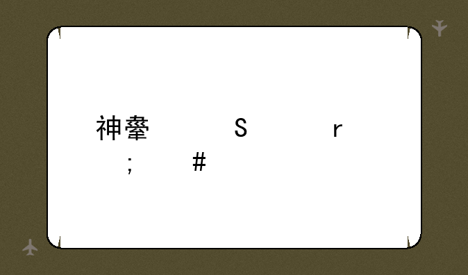 神舟笔记本怎么样