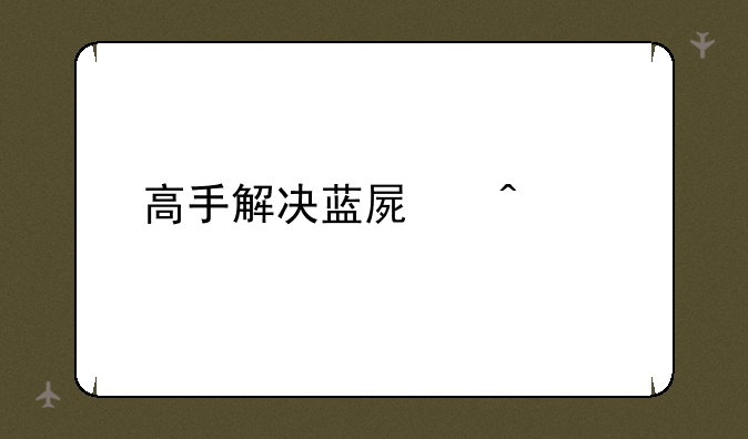 高手解决蓝屏问题