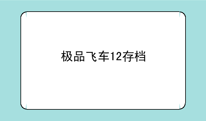 极品飞车12存档