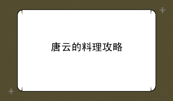 唐云的料理攻略