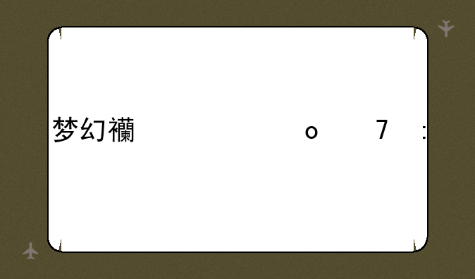 梦幻西游进不去