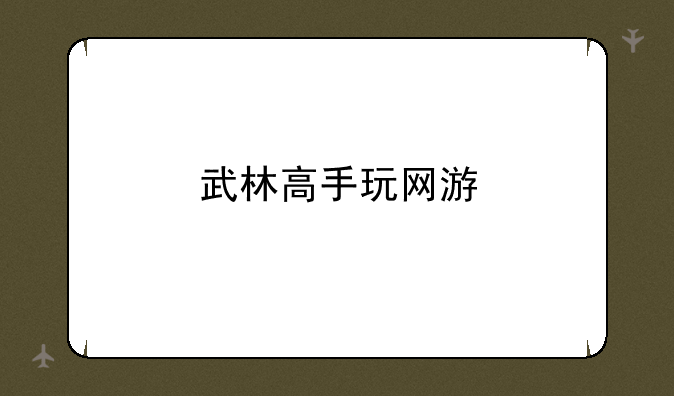 武林高手玩网游