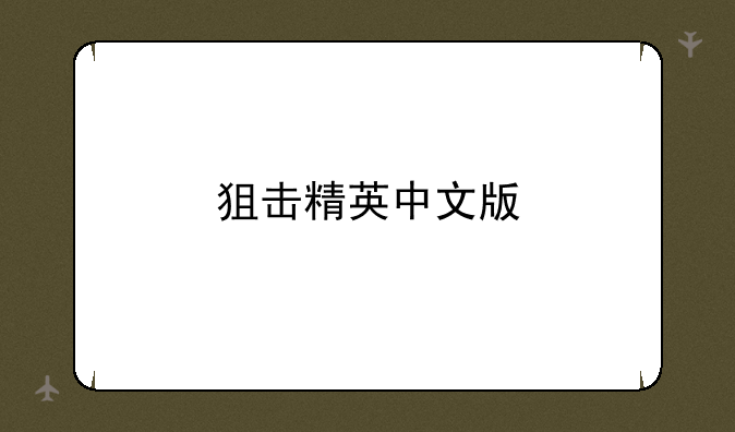 狙击精英中文版