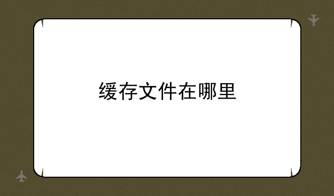 缓存文件在哪里
