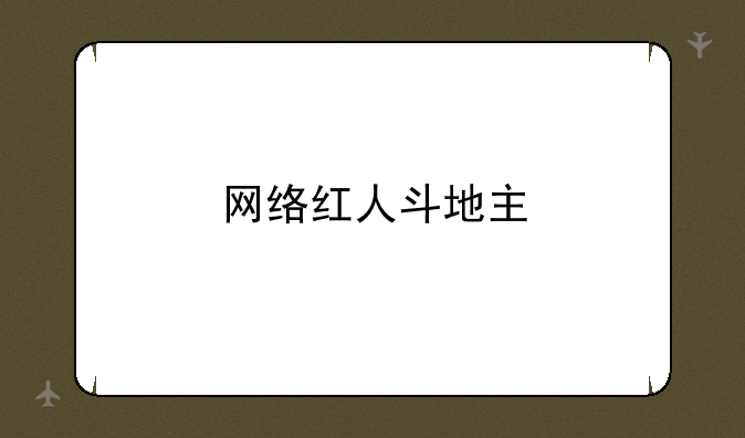 网络红人斗地主