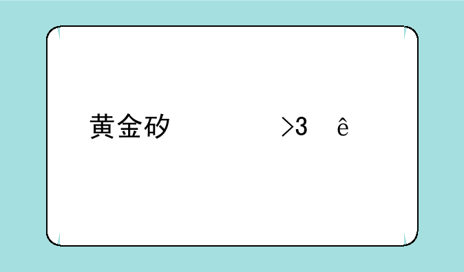 黄金矿工双人版