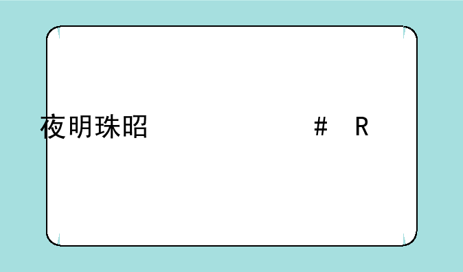 夜明珠是什么电视剧里的人物