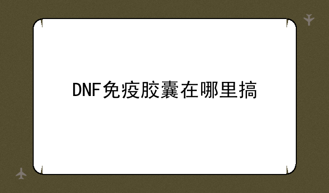 DNF免疫胶囊在哪里搞