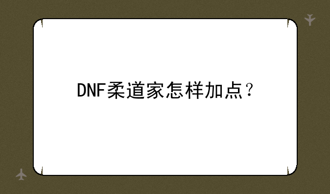 DNF柔道家怎样加点？