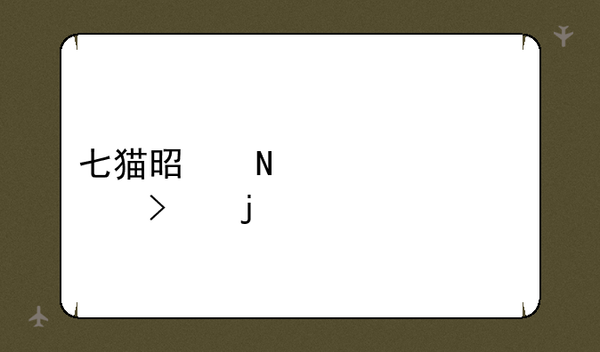 七猫是哪一家公司的