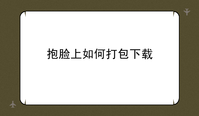 抱脸上如何打包下载