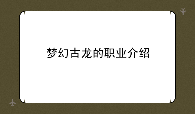 梦幻古龙的职业介绍