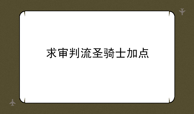 求审判流圣骑士加点