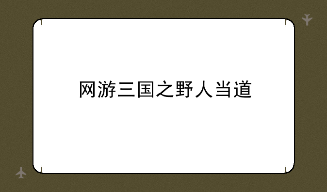 网游三国之野人当道