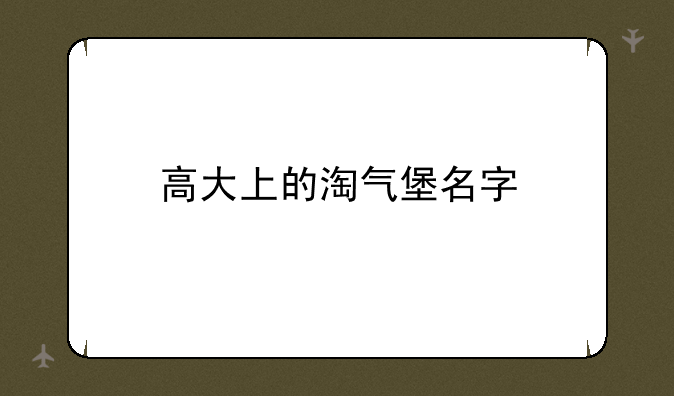 高大上的淘气堡名字