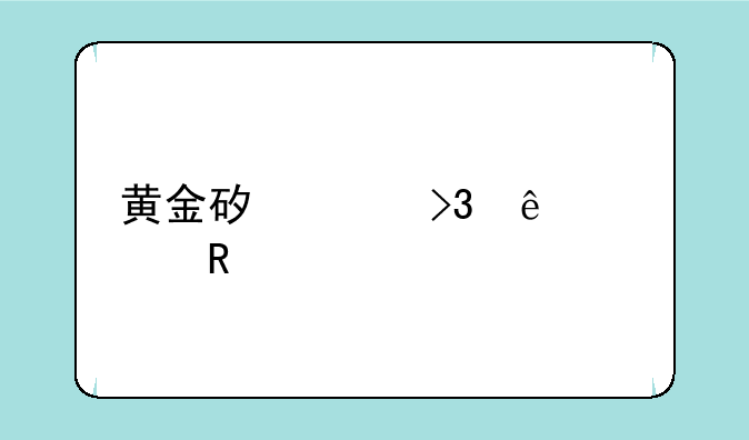 黄金矿工双人修改版
