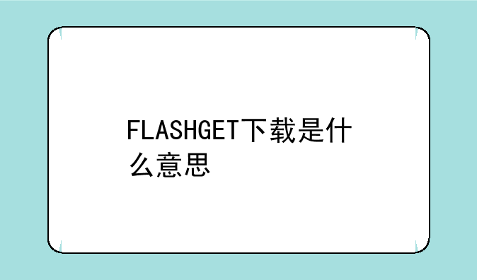 FLASHGET下载是什么意思