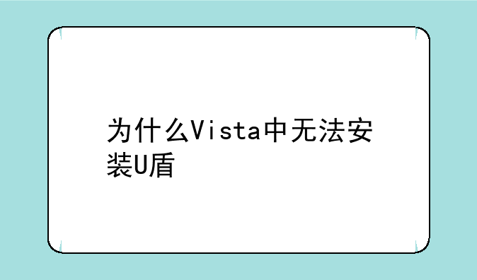 为什么Vista中无法安装U盾