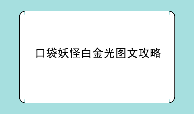 口袋妖怪白金光图文攻略