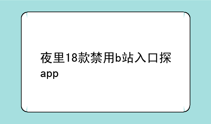 夜里18款禁用b站入口探app