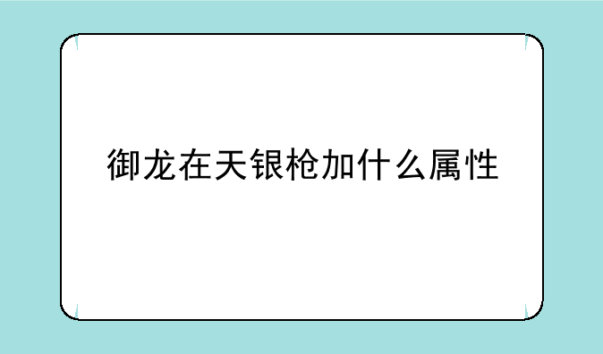 御龙在天银枪加什么属性