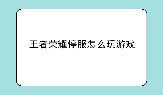 王者荣耀停服怎么玩游戏