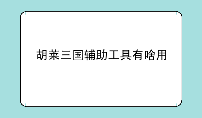 胡莱三国辅助工具有啥用