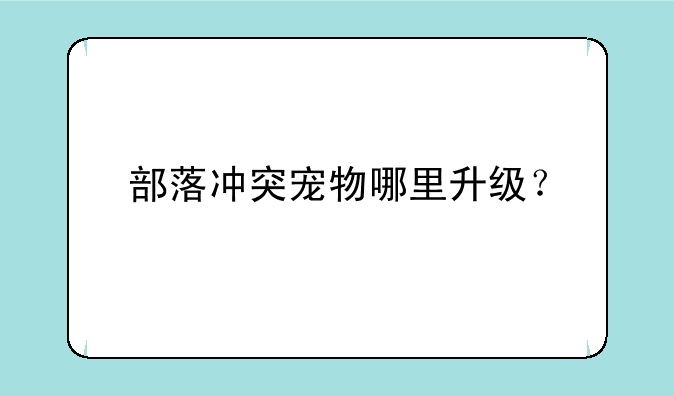 部落冲突宠物哪里升级？