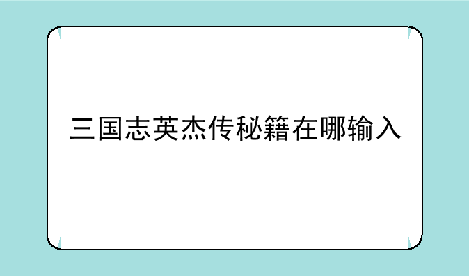 三国志英杰传秘籍在哪输入