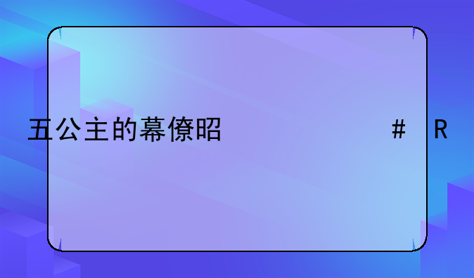 五公主的幕僚是什么电视剧