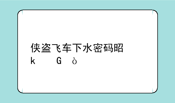 侠盗飞车下水密码是多少？
